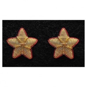 Crossed Rifle SSA Gold Wire Embroidered Badge for Mess Dress (Copy) (Copy)