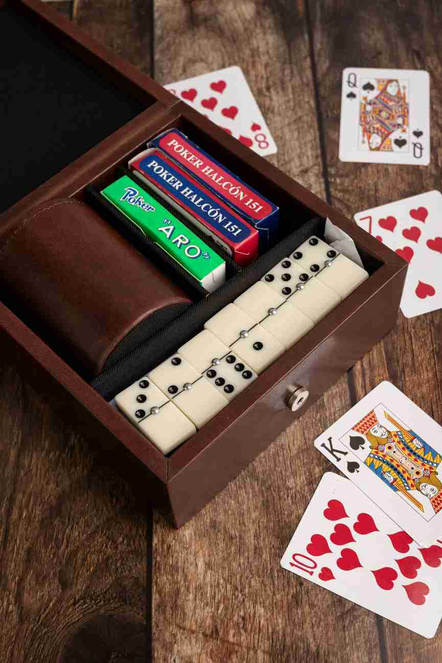L'Expérience Joueur Ultime dans les Casinos Nine en France